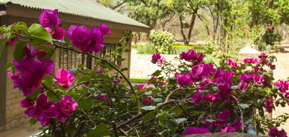 Woodlands Lilongwe Hotel Екстериор снимка