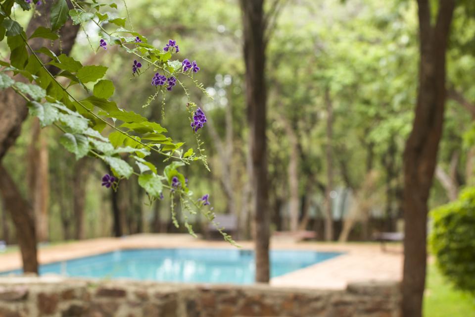 Woodlands Lilongwe Hotel Екстериор снимка